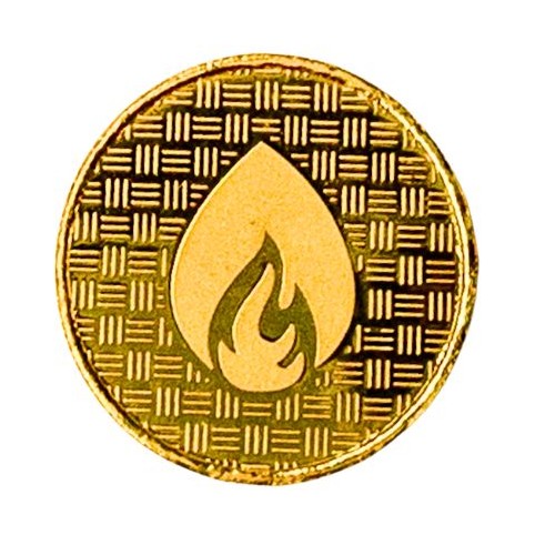 Ginni gold coin